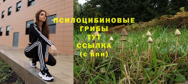 а пвп мука Нягань