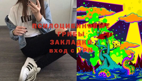 кристаллы Осинники