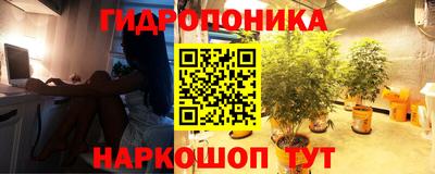 героин Кимры