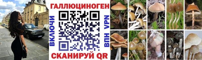 мега зеркало  Саров  Псилоцибиновые грибы MAGIC MUSHROOMS 